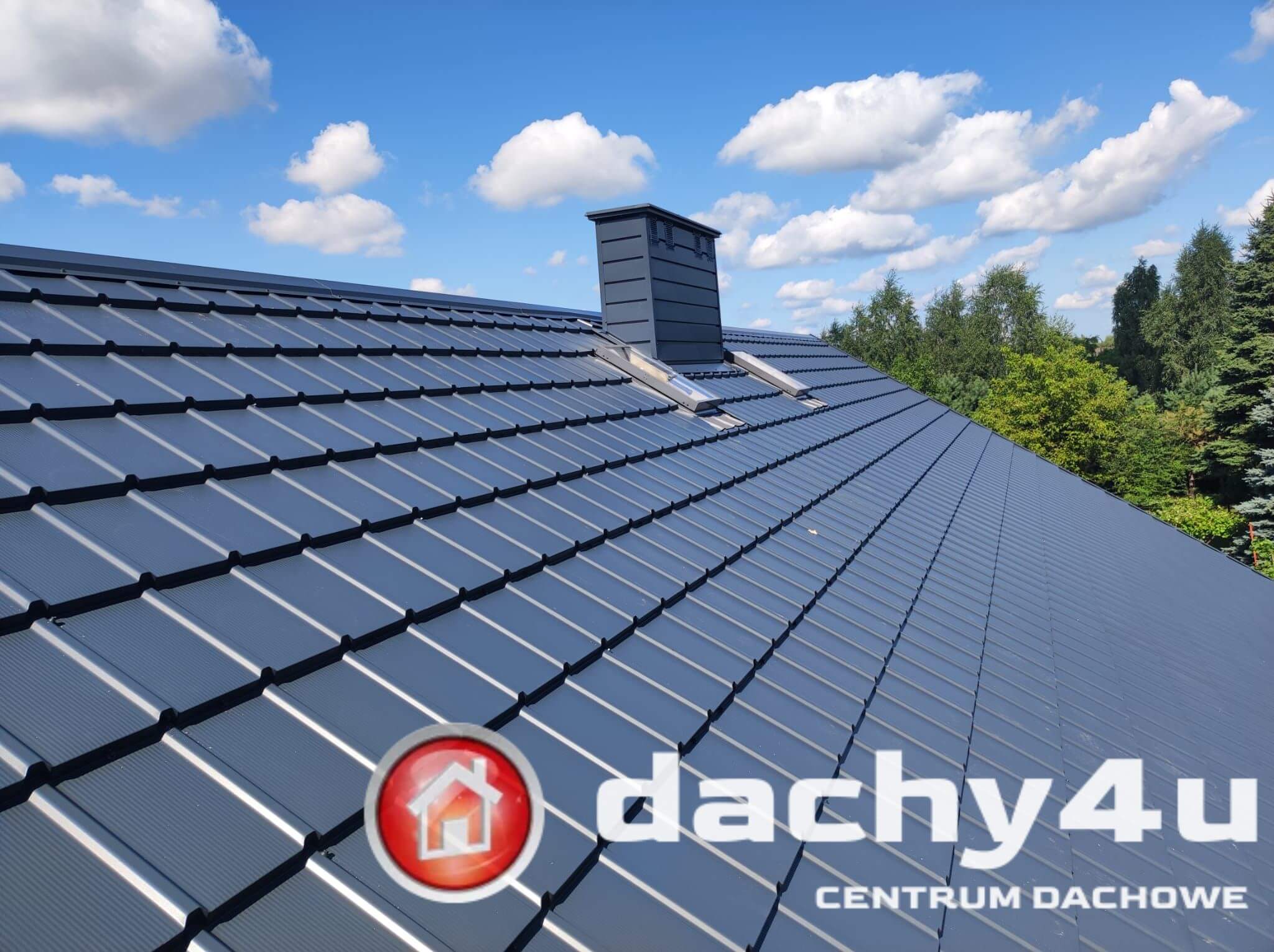 PRUSZYNSKI TIGRA ANTRACYT